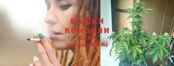 Альфа ПВП Корсаков