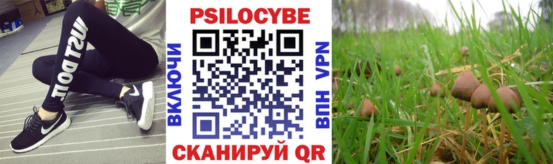 Галлюциногенные грибы мицелий  Киржач 
