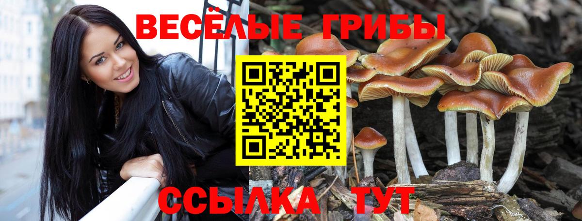 Псилоцибиновые грибы мицелий  Псилоцибиновые грибы Cubensis  Вход с VPN  Киржач 